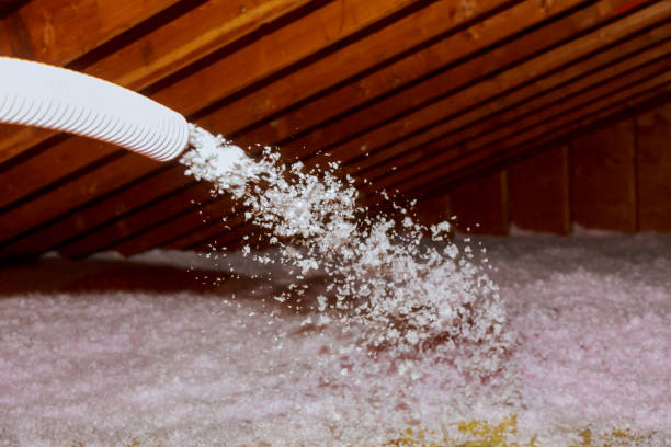 Best Residential Insulation in Eufaula, AL