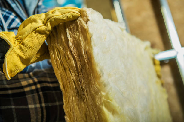 Best Insulation Maintenance and Repair in Eufaula, AL